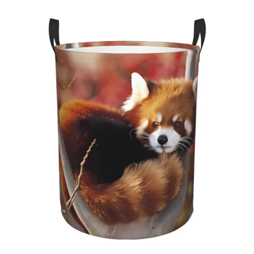 Mittelgroßer runder Wäschekorb – Aufbewahrungskorb mit rotem Panda-Druck, mit Griffen für Schlafzimmer, Badezimmer und Wohnzimmer Mittelgroßer runder Wäschekorb – Aufbewahrungskorb mit rotem Panda-Druck, mit Griffen für Schlafzimmer, Badezimmer und Wohnzimmer von JaoXer