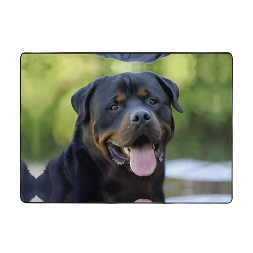 Moderner Rottweiler-Tapetendruck-Teppich, 203,2 x 147,3 cm, weicher Teppich für Wohnzimmer, Büro, Couchtisch, Balkon, verschleißfest Moderner Rottweiler-Tapetendruck-Teppich, 203,2 x 147,3 cm, weicher Teppich für Wohnzimmer, Büro, Couchtisch, Balkon, verschleißfest von JaoXer