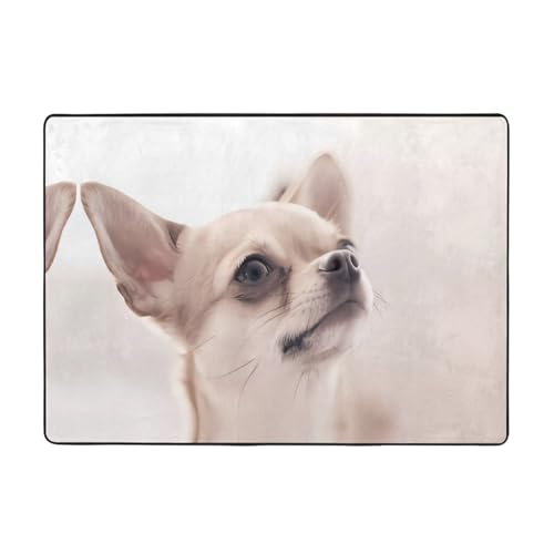 Moderner niedlicher Chihuahua-Druck, 203,2 x 147,3 cm, weicher Teppich für Wohnzimmer, Büro, Couchtisch, Balkon, verschleißfest Moderner niedlicher Chihuahua-Druck, 203,2 x 147,3 cm, weicher Teppich für Wohnzimmer, Büro, Couchtisch, Balkon, verschleißfest von JaoXer