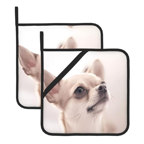 Niedliche Chihuahua-Topflappen-Sets für Küche und Grill, hitzebeständige Hotpads und Topflappen, perfekt zum Backen, Grillen Niedliche Chihuahua-Topflappen-Sets für Küche und Grill, hitzebeständige Hotpads und Topflappen, perfekt zum Backen, Grillen von JaoXer