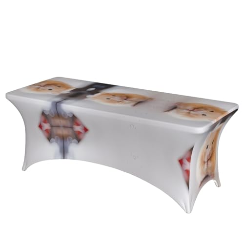 Rechteckige Tischdecke mit Hamsterdruck, abwischbar, dehnbar, langlebig, für den Innen- und Außenbereich Rechteckige Tischdecke mit Hamsterdruck, abwischbar, dehnbar, langlebig, für den Innen- und Außenbereich von JaoXer