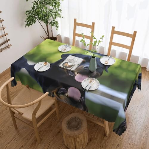 Rottweiler Tapete, quadratische Spitzentischdecke – klassische Schneiderei für Esstische, Couchtische und Feiertagsfeiern Rottweiler Tapete, quadratische Spitzentischdecke – klassische Schneiderei für Esstische, Couchtische und Feiertagsfeiern von JaoXer