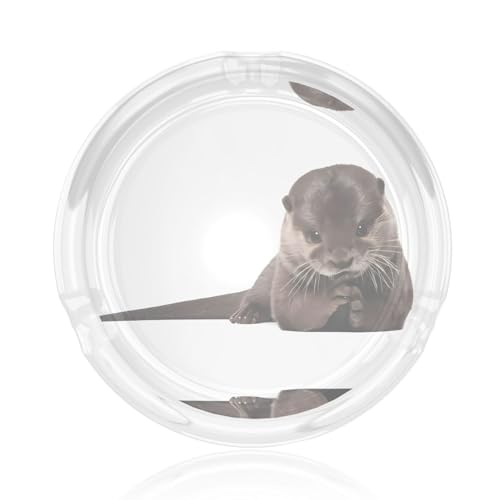 Runder Glasaschenbecher mit niedlichem Otter-Druck, 8,4 cm, klarer Kristall, für Zuhause, Büro und Außenbereich Runder Glasaschenbecher mit niedlichem Otter-Druck, 8,4 cm, klarer Kristall, für Zuhause, Büro und Außenbereich von JaoXer