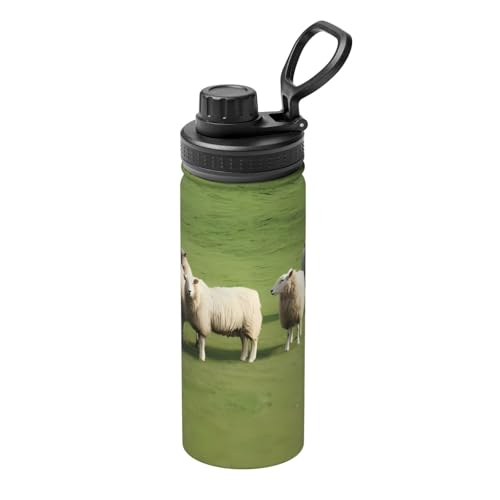 Schafe und Lämmer 530 ml Sport Isolierter Wasserkocher – doppelwandige Thermoskanne für heiße und kalte Getränke – perfekt für Reisen, Camping von JaoXer