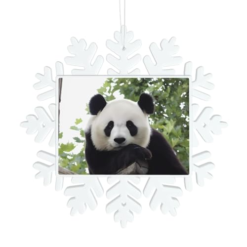 Schöne Panda-Schneeflocken-Dekorationen – Winter-Weihnachten zum Aufhängen für Weihnachtsbaum, Urlaub, Hochzeit, Party, Schilder, Tischdekoration Schöne Panda-Schneeflocken-Dekorationen – Winter-Weihnachten zum Aufhängen für Weihnachtsbaum, Urlaub, Hochzeit, Party, Schilder, Tischdekoration von JaoXer
