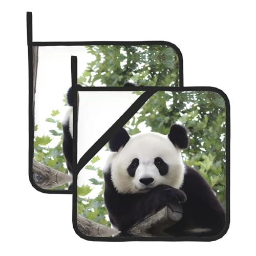 Schöne Panda-Topflappen-Sets für Küche und Grill, hitzebeständige Hotpads und Topflappen, perfekt zum Backen, Grillen Schöne Panda-Topflappen-Sets für Küche und Grill, hitzebeständige Hotpads und Topflappen, perfekt zum Backen, Grillen von JaoXer