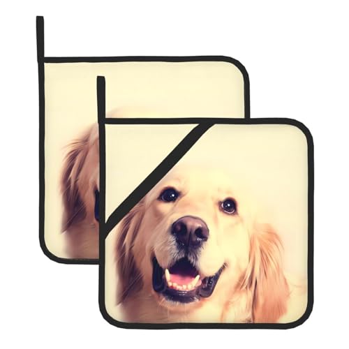 Schöne goldene Hunde-Topflappen-Sets für Küche und Grill, hitzebeständige Hotpads und Topflappen, perfekt zum Backen, Grillen Schöne goldene Hunde-Topflappen-Sets für Küche und Grill, hitzebeständige Hotpads und Topflappen, perfekt zum Backen, Grillen von JaoXer