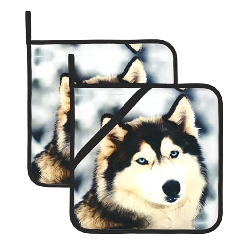 Sibirischer Husky Topflappen-Sets für Küche und Grill – hitzebeständige Hotpads und Topflappen, perfekt zum Backen, Grillen Sibirischer Husky Topflappen-Sets für Küche und Grill – hitzebeständige Hotpads und Topflappen, perfekt zum Backen, Grillen von JaoXer