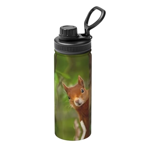 Squirrel Isolierter Sportwasserkocher, doppelwandige Thermoskanne für heiße und kalte Getränke, perfekt für Reisen, Camping Squirrel Isolierter Sportwasserkocher, doppelwandige Thermoskanne für heiße und kalte Getränke, perfekt für Reisen, Camping von JaoXer