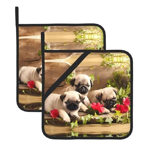 Topflappen-Set für Küche und Grill, hitzebeständige Topflappen und Topflappen, perfekt zum Backen, Grillen Topflappen-Set für Küche und Grill, hitzebeständige Topflappen und Topflappen, perfekt zum Backen, Grillen von JaoXer