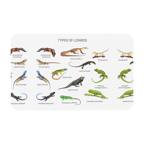 Verschiedene Arten von Eidechsen-Kieselgur Matte – Badewanne, Dusche, saugfähig, Badezimmer-Bodenteppich – Eingangsteppich, Schlafzimmer Gummi-Teppich von JaoXer