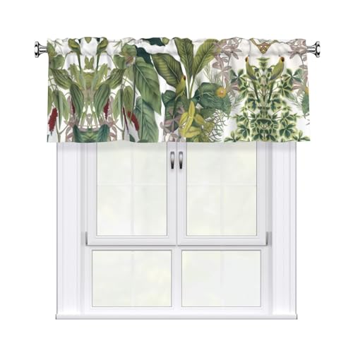 Vorhang mit tropischen Blumen und Papageien, 137,2 x 45,7 cm, Fensterdekoration für Heimdekoration, perfekt für Badezimmer, Waschküche Vorhang mit tropischen Blumen und Papageien, 137,2 x 45,7 cm, Fensterdekoration für Heimdekoration, perfekt für Badezimmer, Waschküche von JaoXer