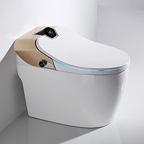 Moderne japanische Samurai Toilette von Japan WC