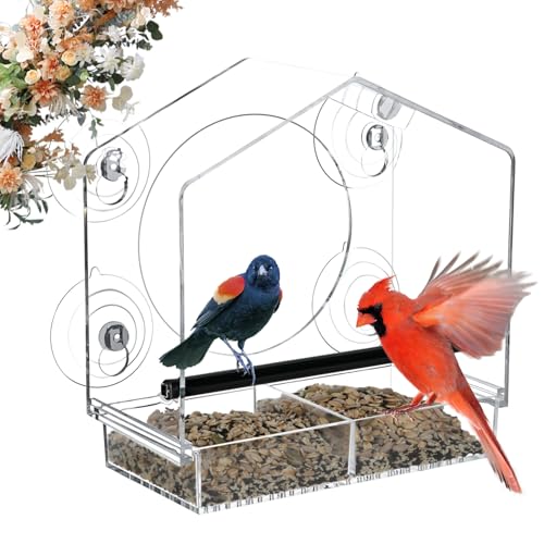 Jarkyfine Fenster-Vogelfutterspender - Transparente Vogelhaus Fensterscheibe für Wildvögel mit Starken Saugnäpfen, Window Bird Feeder, hinzuzufügen von Jarkyfine