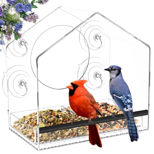 Jarkyfine Fenster Futterhaus für Vögel, Vogelhaus Fensterscheibe mit Saugnäpfen, Groß Vogelfutterhaus Fenster, Futterspender für Wildvögel mit Abnehmbarem Tablett, Window Bird Feeder von Jarkyfine