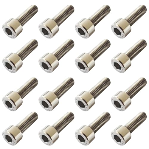 16 Stück Zylinderschrauben,Zylinderschraube M8 x 30 mm,Edelstahl Zylinderschrauben,M8 Gap Head Titanium Schrauben Socket Allen Hex,für PV PV-Anlage Solarmodul Photovoltaic,Fahrrad Tuning von Jasminum