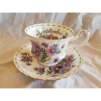 Royal Albert Teetasse Mit Untertasse Michaelmas Gänseblümchen September Blume Des Monats von JasonsCollectables
