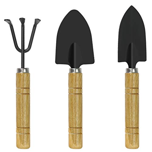 JatilEr 3 Stück Mini Gartenwerkzeug Set, Gartenschaufel Klein Gartengeräte Set, Holzgriff Handheld Mini Schaufel Spaten Rechen Gartenset Werkzeug für Bonsai Werkzeug Pflanze Topfblumen Lose Boden von JatilEr