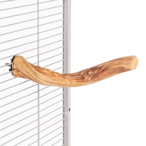 Java | Lianen-Sitzstange - Natural Liana - Vogel-Sitzstange | Länge von 15-20 cm Java | Lianen-Sitzstange - Natural Liana - Vogel-Sitzstange | Länge von 15-20 cm von Java