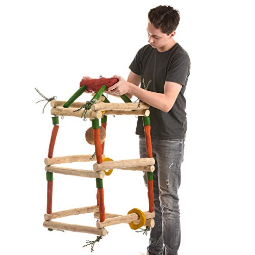 Java | Papageienspielzeug Gym-Tower XL - als Hängefreisitz für Papageienaus hartem Kaffeeholz Java | Papageienspielzeug Gym-Tower XL - als Hängefreisitz für Papageienaus hartem Kaffeeholz von Java