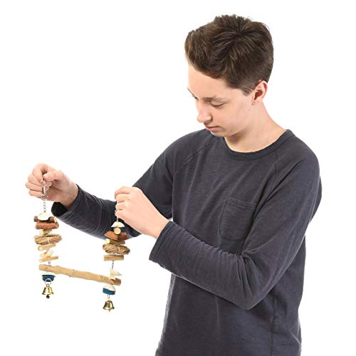 Java | Vogelschaukel Seashell für Wellensittiche & Nymphensittiche von Java
