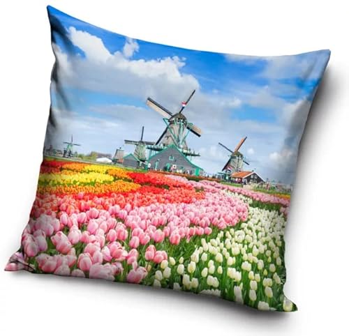 Amsterdam Windmühle 'Flowers' 2 Kissenbezüge aus Polyester, 40 cm von Javoli