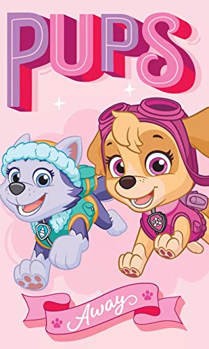 Javoli Paw Patrol 'Pups Away' 2 kleine Handtücher, für Gesicht / Hände für Kinder, Baumwolle, 30 x 50 cm (Bild kann variieren) von Javoli
