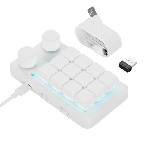 Javoryxh Anpassbare Makros-Tastaturen mit 12 Tasten RGBs, Beleuchtung, zwei Reglerknöpfen, Empfänger und USB-C-Kabel von Javoryxh