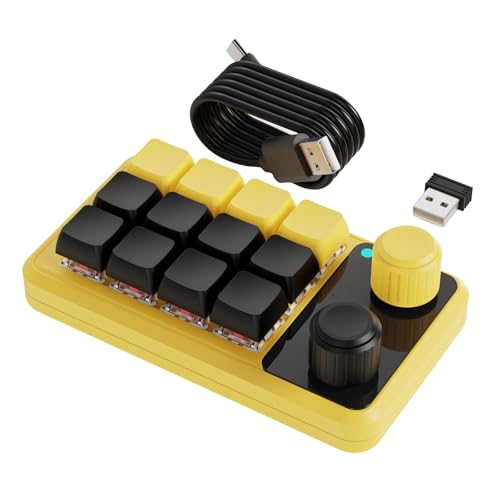 Javoryxh Anpassbare Makros-Tastaturen mit 12 Tasten RGBs, Beleuchtung, zwei Reglerknöpfen, Empfänger und USB-C-Kabel von Javoryxh