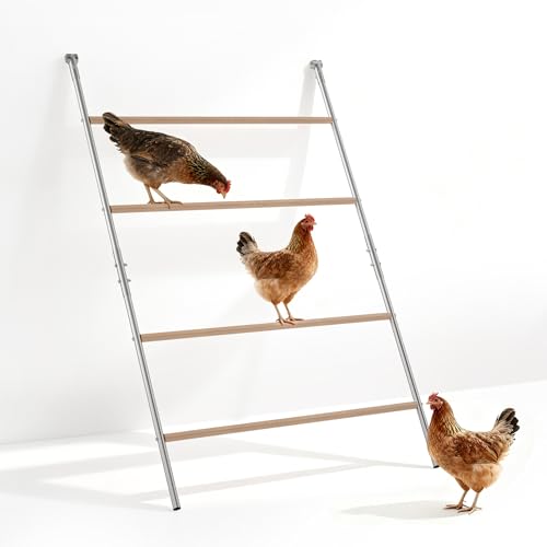 Jaxilyn Große Sitzstange für Hühner, 4 Ebenen, aus Holz, kompatibel mit Freigehege Jaxilyn Große Sitzstange für Hühner, 4 Ebenen, aus Holz, kompatibel mit Freigehege von Jaxilyn