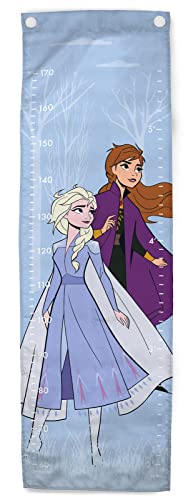 Jay Franco Disney Frozen Blaue Himmel 170cm Wachstum Messlatte für Kinder von Jay Franco