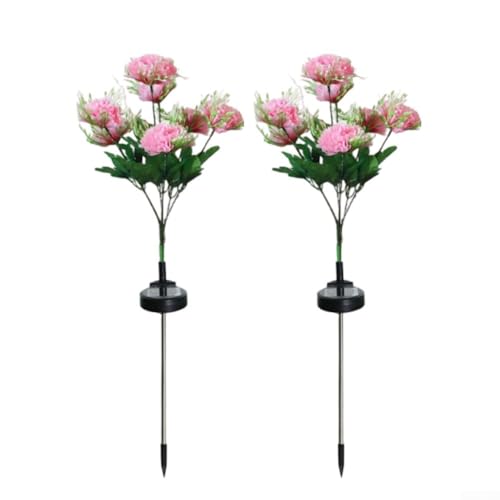 2 x Solar-Gartenleuchten, 70 cm, LED, dekorative Außenleuchten, IP65 wasserdicht, solarbetriebene Blumenlichter (Rosa) von Jayruit