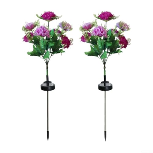 2 x Solar-Gartenleuchten, 70 cm, LED, dekorative Außenleuchten, IP65 wasserdicht, solarbetriebene Blumenlichter (lila) von Jayruit