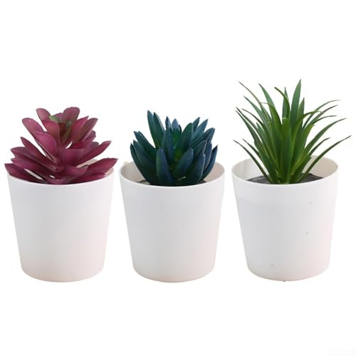 3 künstliche Sukkulenten für Zuhause und Büro. Genießen Sie die Schönheit der Natur mit minimaler Pflege (Set 2) von Jayruit