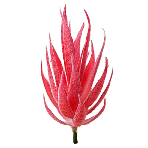Authentisches Gefühl, einfache Pflege, künstliche Blume, Aloe-Pflanze für den Alltag (D) von Jayruit