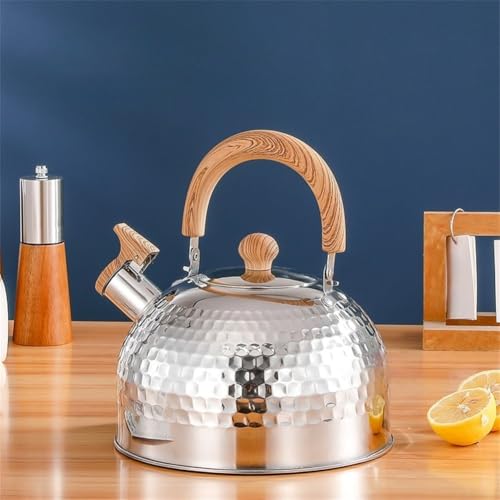 Camping-Teekessel, Edelstahl-Herdplatte, Pfeifwasserkanne mit isoliertem Griff für die Kaffeemaschine (3000 ml) von Jayruit