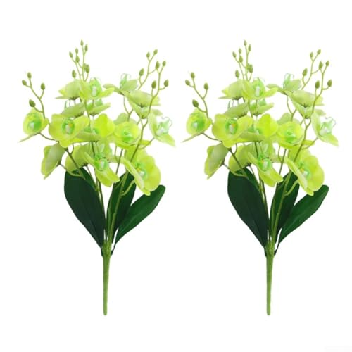Faux Phalaenopsis Orchidee Blume 2er Set für elegante Heimdekoration und Fotografie Verwendung, geeignet für Tische und Regale (Grün) von Jayruit