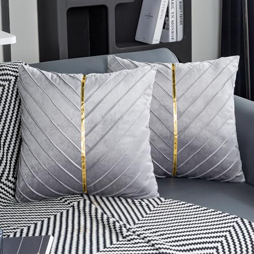 Jayusaror Kissenbezug 40x40 Samt Grau Dekokissen Gold Zierkissenbezug Deko Kissen Kissenhülle Weiche Kissenbezüge Moderne Zierkissen Bezug für Sofa Couch Schlafzimmer Wohnzimmer 2er Set von Jayusaror
