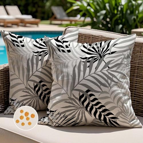 Jayusaror Outdoor Kissenbezug 40x40 cm Schwarz Grau Kissenhülle Wetterfest Sofakissen Gartenkissen Sommer Tropische Blätter Deko Kissen Kissenbezüge für Sofa Garten Deko 2er Set von Jayusaror