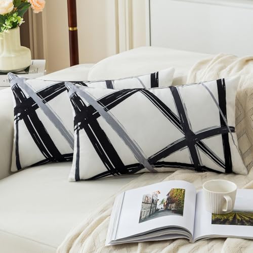 Jayusaror Schwarz Kissenbezug 30x50 Samt Grau Kissenbezüge Weiche Sofakissen Geometrische Dekokissen Moderne Kissen Deko Kissenhülle für Wohnzimmer Sofa Schlafzimmer Dekor，2er Set von Jayusaror