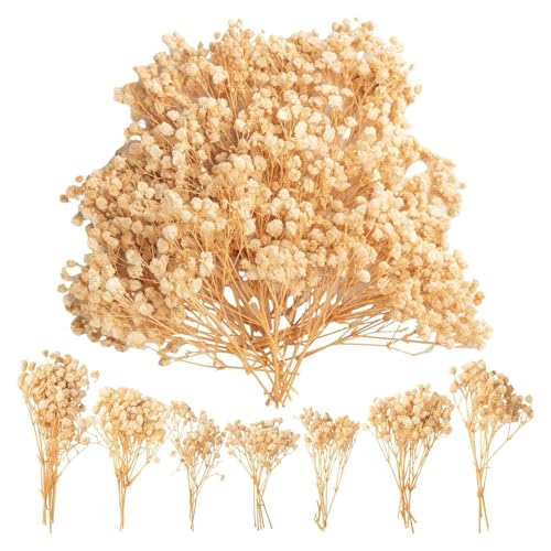 100 Schleierkraut Getrocknet, Trockenblumen Schleierkraut Für Hochzeitsdeko, DIY Basteln, Wohnkultur, 100 Gelbe Stiele Weiße Gypsophila 100 Schleierkraut Getrocknet, Trockenblumen Schleierkraut Für Hochzeitsdeko, DIY Basteln, Wohnkultur, 100 Gelbe Stiele Weiße Gypsophila von JazRvr