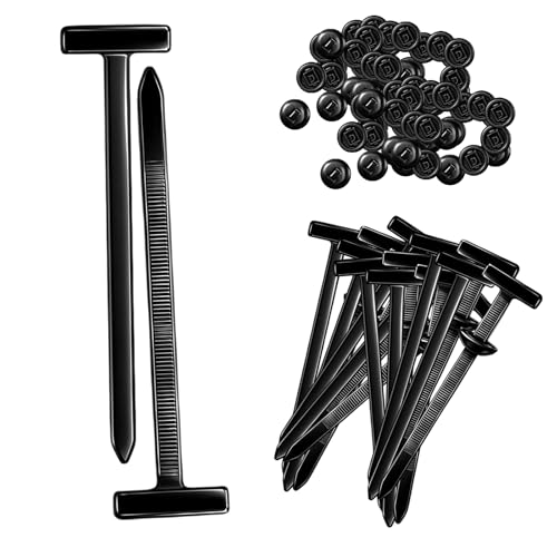 200 Stück Kabelbinder Wiederverwendbar, Kabelbinder Schnelle Schwarz Klein, Nylon Mit Selbstsichernder Technologie, 20x95mm Für Auto Reparatur Und Hausorganisation 200 Stück Kabelbinder Wiederverwendbar, Kabelbinder Schnelle Schwarz Klein, Nylon Mit Selbstsichernder Technologie, 20x95mm Für Auto Reparatur Und Hausorganisation von JazRvr