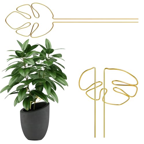 2er Set Pflanzenstütze für Zimmerpflanzen, Stabile Unterstützung für Monstera Pflanze, Dekorative Rankhilfe Monstera für Innenbereich von JazRvr