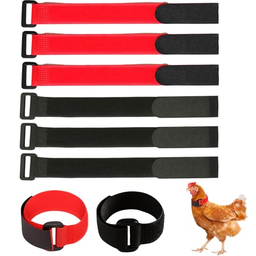 8 Stück Klett Kabelbinder, Wiederverwendbare Klettkabelbinder 30 cm, Kabelbinder Wiederverschließbar für Kabelmanagement, Büro, Garten und Outdoor-Aktivitäten, Schwarz und Rot je 4 Stück 8 Stück Klett Kabelbinder, Wiederverwendbare Klettkabelbinder 30 cm, Kabelbinder Wiederverschließbar für Kabelmanagement, Büro, Garten und Outdoor-Aktivitäten, Schwarz und Rot je 4 Stück von JazRvr