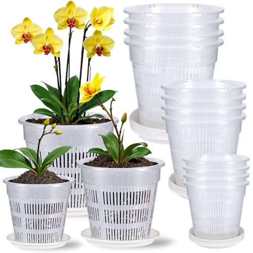 Jazlyvex Orchideentopf Transparent,12 Stück Orchideen übertopf mit Untersetzer Pflanztöpfe Blumentöpfe für Orchideen(12PCS+12Untersetzern) von Jazlyvex