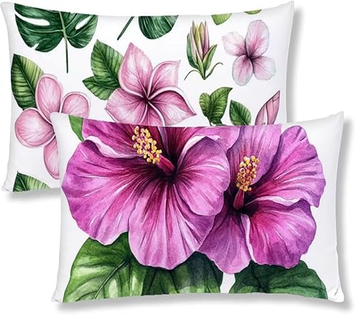 Kopfkissenbezug 30x50 2er Set Kissenbezug Lila Sofakissen Kopfkissen Blume Kissenbezüge Weiche Komfort Samt Dekokissen Doppelseitiges Druckdesign, für Sofa Schlafzimmer Wohnzimmer Kissenhüllen S1-671 Kopfkissenbezug 30x50 2er Set Kissenbezug Lila Sofakissen Kopfkissen Blume Kissenbezüge Weiche Komfort Samt Dekokissen Doppelseitiges Druckdesign, für Sofa Schlafzimmer Wohnzimmer Kissenhüllen S1-671 von Jaznnghh