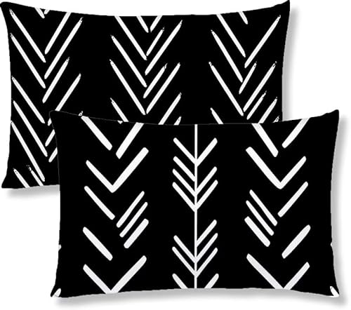 Kopfkissenbezug 50x60 2er Set Kissenbezug Schwarz Sofakissen Kopfkissen Linie Kissenbezüge Weiche Komfort Samt Dekokissen Doppelseitiges Druckdesign, für Schlafzimmer Wohnzimmer Kissenhüllen S1-219 von Jaznnghh