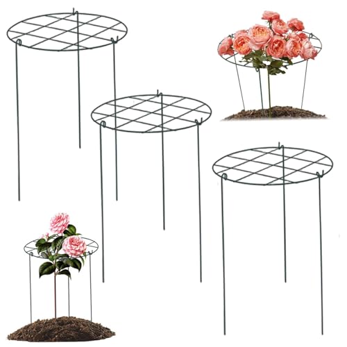 3pcs Pflanzenschleuder in der Innenräume stabil tragbar abnehmbare Metallgartenschlangen für das Klettern von Pflanzen im Freien stabile Pflanzenstütze für Zimmerpflanzen, Reben und Blumen 3pcs Pflanzenschleuder in der Innenräume stabil tragbar abnehmbare Metallgartenschlangen für das Klettern von Pflanzen im Freien stabile Pflanzenstütze für Zimmerpflanzen, Reben und Blumen von Jcasbdn