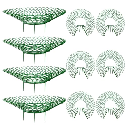Jcasbdn Erdbeer-Pflanzgefäß, Erdbeerpflanzenstütze mit 3 stabilen Beinen, 25,4 cm Durchmesser, abnehmbarer Erdbeerturm, hohl, Erdbeerhalter, 10 Stück Jcasbdn Erdbeer-Pflanzgefäß, Erdbeerpflanzenstütze mit 3 stabilen Beinen, 25,4 cm Durchmesser, abnehmbarer Erdbeerturm, hohl, Erdbeerhalter, 10 Stück von Jcasbdn