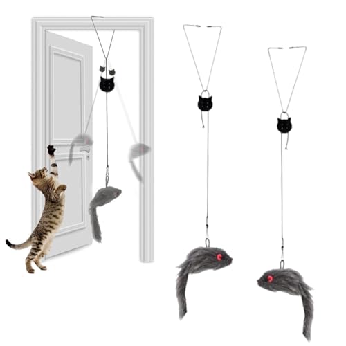 JchEnye 2-Piece Cat Toy Self-Hanging Hanging Shelf Cat Toy with Elastic Mouse, Interactive Dancer Cat Toy Mouse for Cats Running and Boredom Interaction JchEnye 2-Piece Cat Toy Self-Hanging Hanging Shelf Cat Toy with Elastic Mouse, Interactive Dancer Cat Toy Mouse for Cats Running and Boredom Interaction von JchEnye
